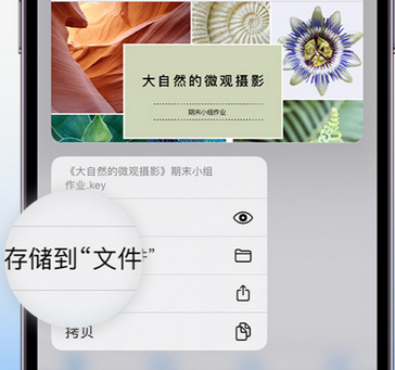 玉林apple维修中心分享iPhone文件应用中存储和找到下载文件