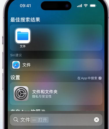 玉林apple维修中心分享iPhone文件应用中存储和找到下载文件