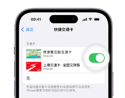 玉林apple维修点分享iPhone上更换Apple Pay快捷交通卡手绘卡面 