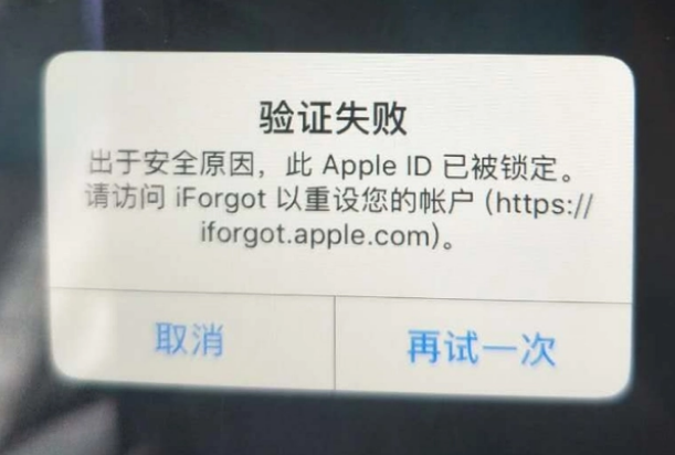 玉林iPhone维修分享iPhone上正常登录或使用AppleID怎么办 