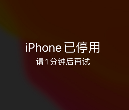 玉林苹果手机维修分享:iPhone 显示“不可用”或“已停用”怎么办？还能保留数据吗？ 