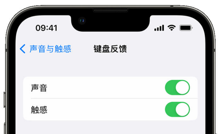 玉林苹果手机维修分享iPhone 14触感键盘使用方法 