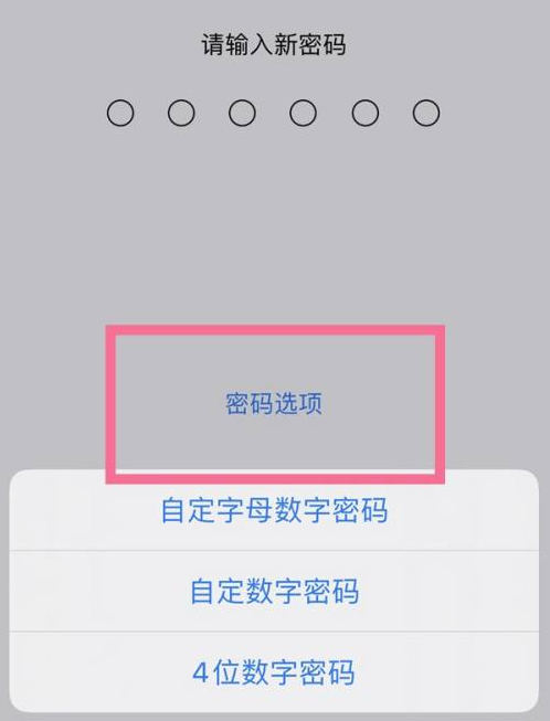 玉林苹果14维修分享iPhone 14plus设置密码的方法 