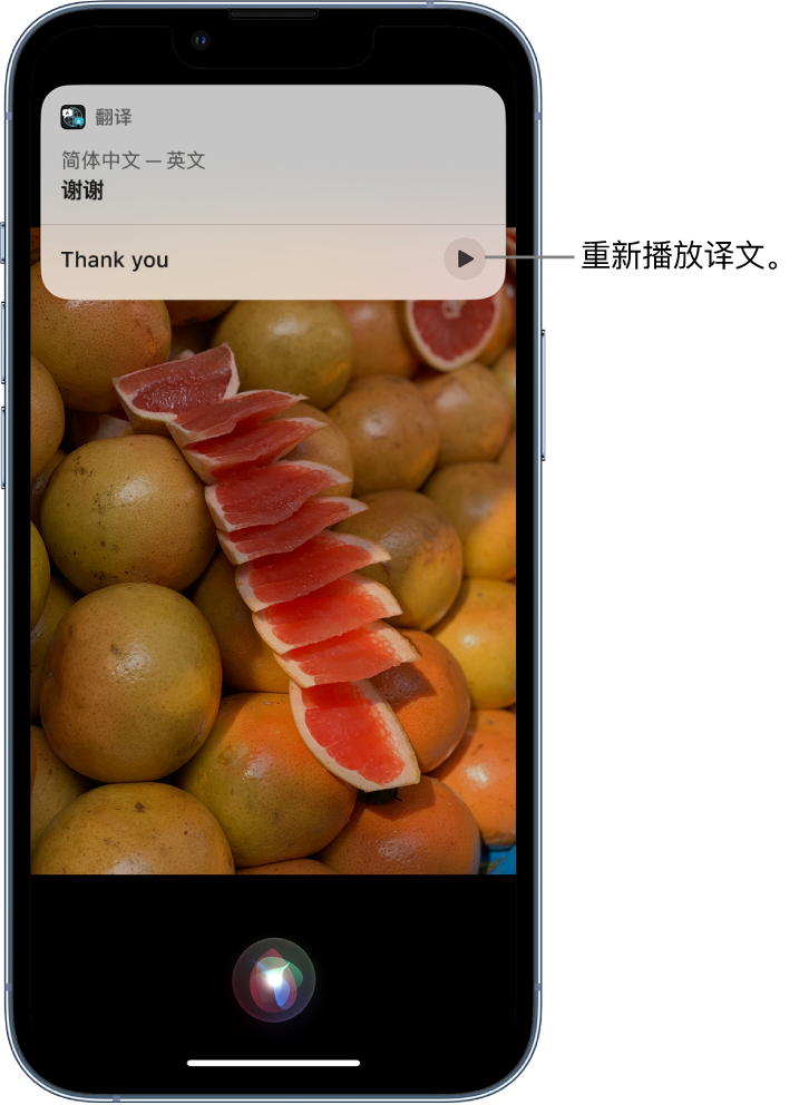 玉林苹果14维修分享 iPhone 14 机型中使用 Siri：了解 Siri 能帮你做什么 