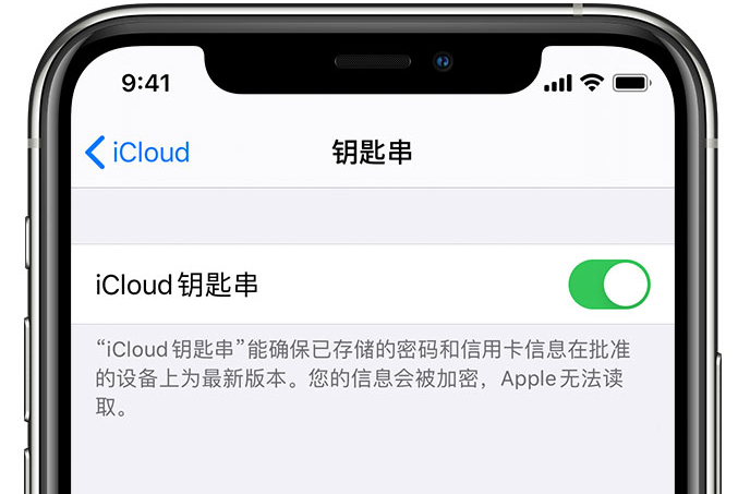 玉林苹果手机维修分享在 iPhone 上开启 iCloud 钥匙串之后会储存哪些信息 