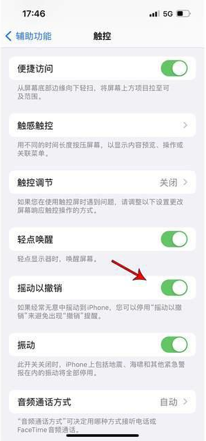 玉林苹果手机维修分享iPhone手机如何设置摇一摇删除文字 